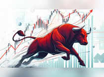 Bull run